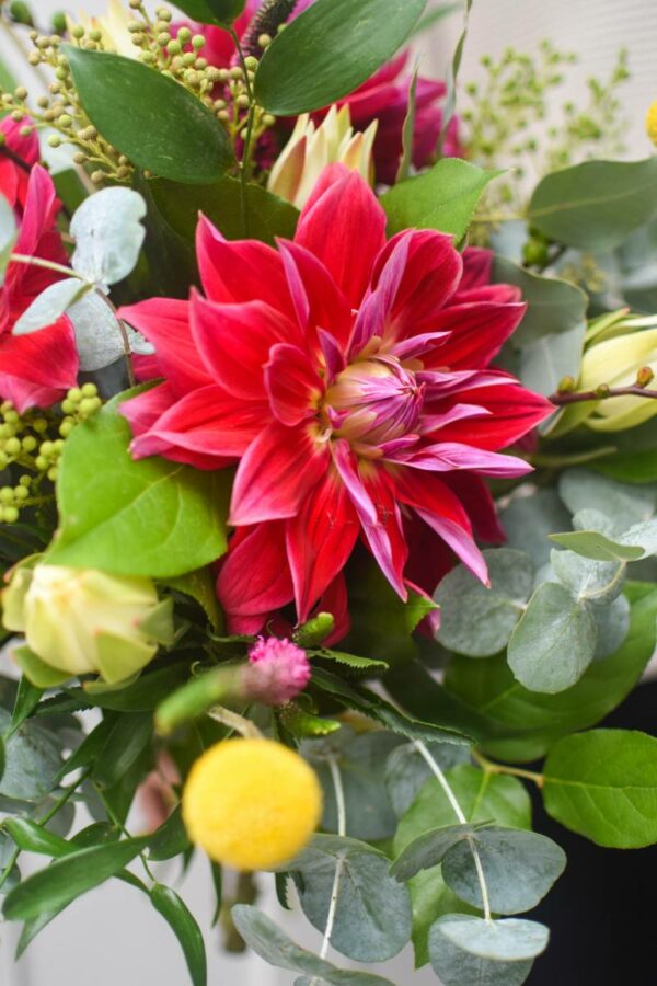 large red dahlias tied in a seasonal bouquet with eucalyptus and craspedia