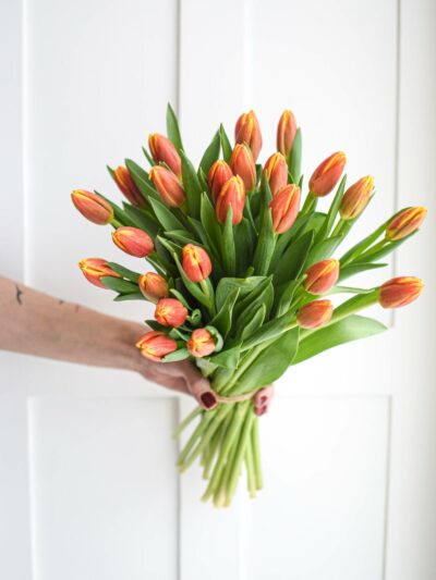 Bouquet of red-yellow tulips tied flower to flower without greenery