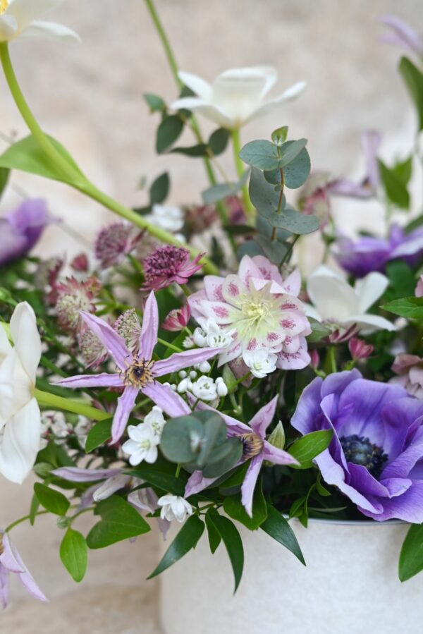 Fialové květy sasanky, růžové květy jarmanky a klematisu a bílé květy tulipánů a eukalyptus naaranžované v jarním flower boxu.