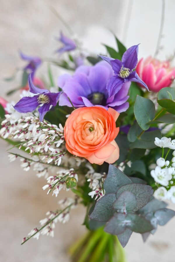 Orange ranunculus flower, purple flowers of anemone and clematis, small white flowers of genista and eucalyptus stems tied in a spring bouquet.